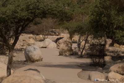Entrata al parco di Ein Gedi