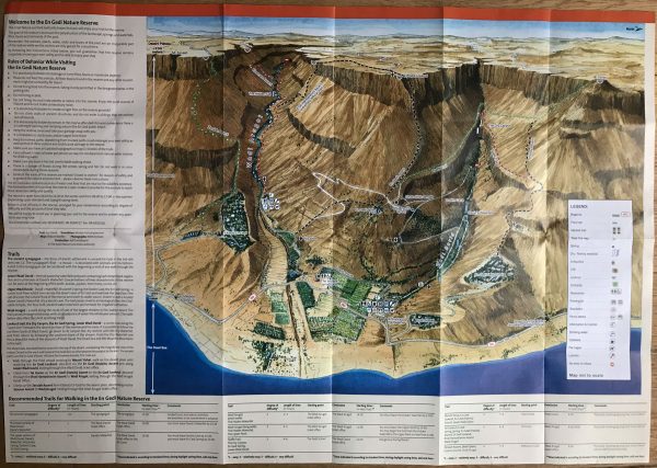 Carta geografica di Ein Gedi