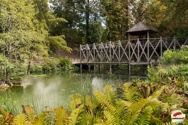 Il giardino di Leonardo