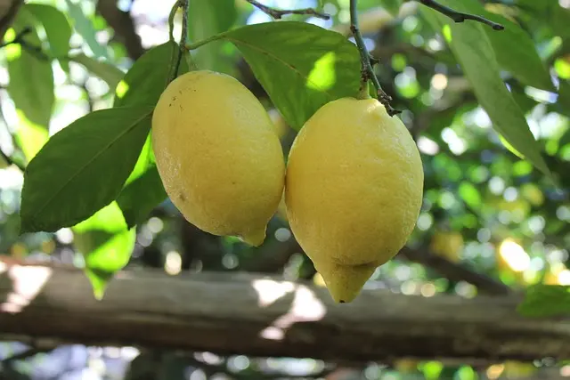 costiera amalfitana
