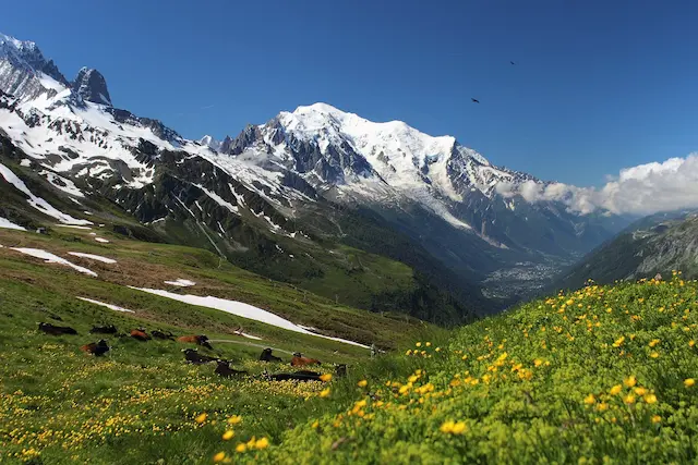 monte bianco
