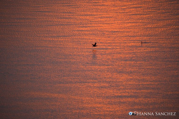 Saint-Simeon, il tesoro nascosto del Quebec